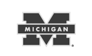 michigan_university