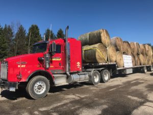 Adamo Employee Steps Up to Assist Others Featured Image